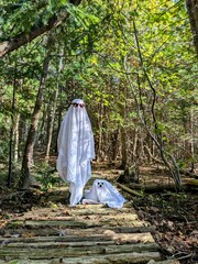 Ghost in the forest with dog