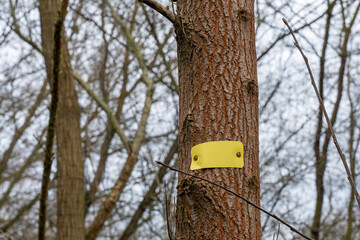 The yellow sign is attached to the tree. The sign is yellow.