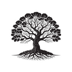 Obraz premium tree silhouette isolated on white