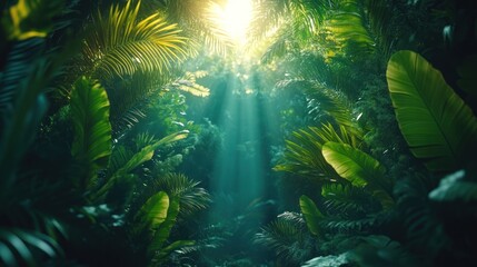 Fototapeta premium Sunlight beams through lush tropical jungle foliage