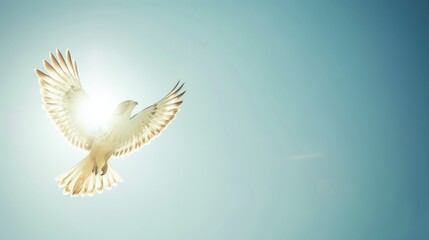 Fototapeta premium Majestic Hawk Soaring High with Wings Spanned Under a Blue Sky in Flight, Bird of Prey Gracefully Flying in Clear Horizon
