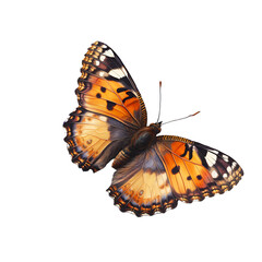 Vibrant Painted Lady Butterfly in Flight Detailed Wing Close up Nature Insect