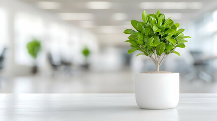 Office plant on desk, modern workplace background