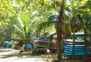 Surfboards stacked in Encuentro Beach Cabarete, Dominican Republic