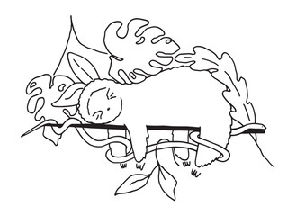 Doodle illustration of Baby sloth sleeping on the tree, snake coils around the branches of a tree. Tropical animals vector illustration