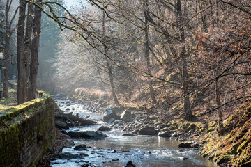 Flusslandschaft in Borjomi mit Bäumen und Nebel am Park