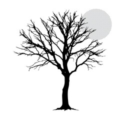 Palm tree silhouette vector image, and white background, vector eps file.