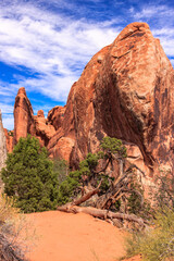 A rocky mountain range with a tree in the foreground