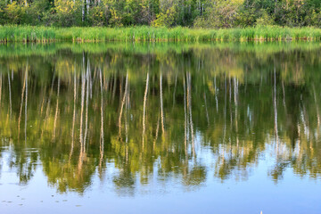 A lake with trees in the background and a reflection of the trees in the water