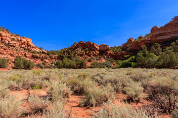 A desert landscape with a blue sky and a few trees