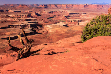 Fototapeta premium Green River Overlook