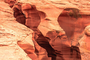 Lower Antelope Canyon, Page, Arizona