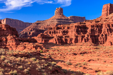 Fototapeta premium A desert landscape with a mountain in the background