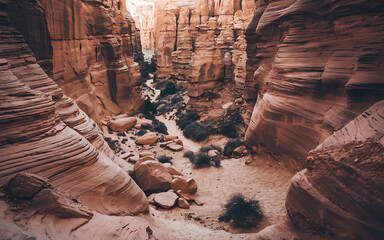 Sunlit canyon with towering sandstone formations, layered textures, contrasting light and shadow, and a winding path through a desert scene