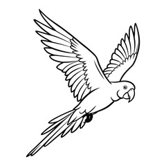 Fly Parrot Bird line art silhouette vector illustration.