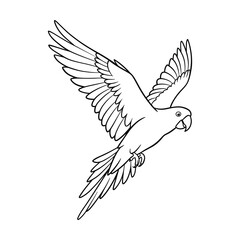 Obraz premium Fly cute Parrot Bird line art silhouette vector illustration clipart.