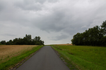 Landscape with a field and trees in a cloudy and gloomy grey weather and clouds on the background. The road in the field to the horizon
