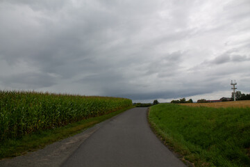 Corn field in cloudy weather on the sky with clouds and meadow and natural landscapes background. The road leading to the horizon. Farming and agriculture, сorn planting in Germany