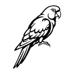 bold line art  Parrot Bird silhouette vector graphic.