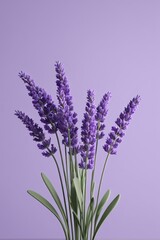 Obraz premium lavender flowers in a vase on a table against a purple background