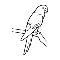 Cute Parrot Bird with tree branche silhouette vector graphic illustration.