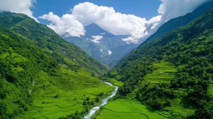 Naklejka premium Lush Green Valley Surrounded by Majestic Mountains and Clear Sky