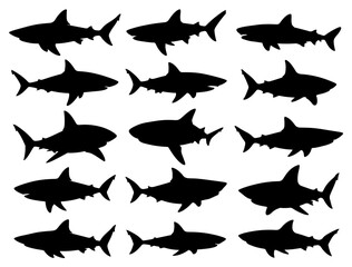 Fototapeta premium SHARKS SILHOUETTE ON WHITE BACKGROUND