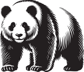 Giant panda vector black and white 
