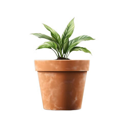 Fototapeta premium Plant in Pot Realistic PNG