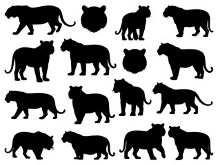 BENGAL TIGERS SILHOUETTE ON WHITE BACKGROUND