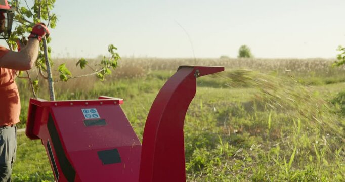 Wood chipper shredder machine man making mulch from tree branches