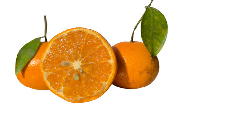 Fresh Oranges Halves PNG Isolated on White Background