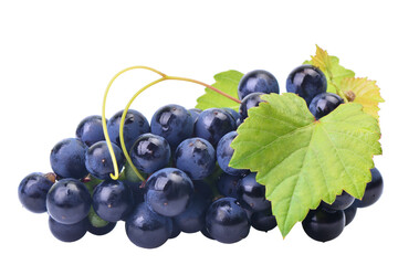 Bunch of grapes isolated on white background