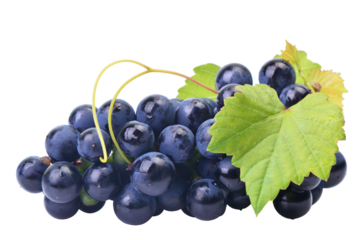 Bunch of grapes isolated on white background