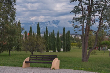 Russia, Sochi. A strict view of the pyramidal poplars in the ornithological park on the Black Sea coast.