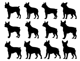 BOSTONE TERRIER DOG SILHOUETTE ON WHITE BACKGROUND
