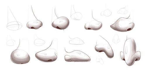 Stylized noses