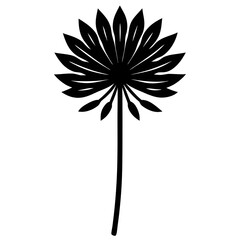 black and white flower