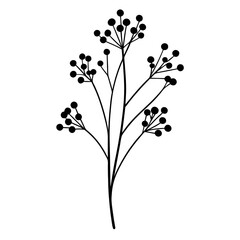 black and white flowers