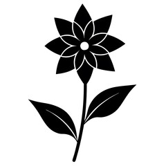 black and white flower