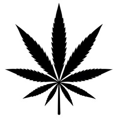 cannabis leaf vector illustration