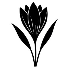 black and white flower