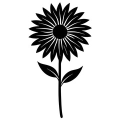 Fototapeta premium black eyed susan