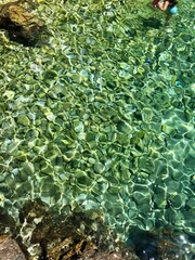 Transparent water in Srebrna Uvala, Mali Lošinj, Croatia