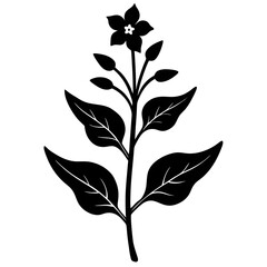 silhouette of leaves