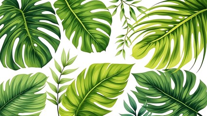 Palm leaves set in isolated background, watercolor botanical painting