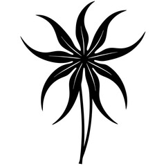 black and white flower