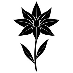 black and white flower