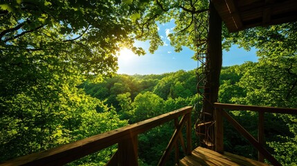 Serene View from Treehouse Overlooking Lush Green Forest