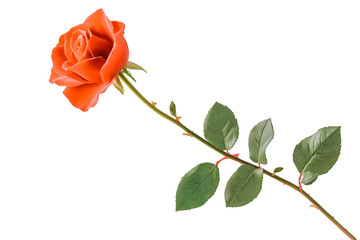 Obraz premium A single red rose on a transparent background.